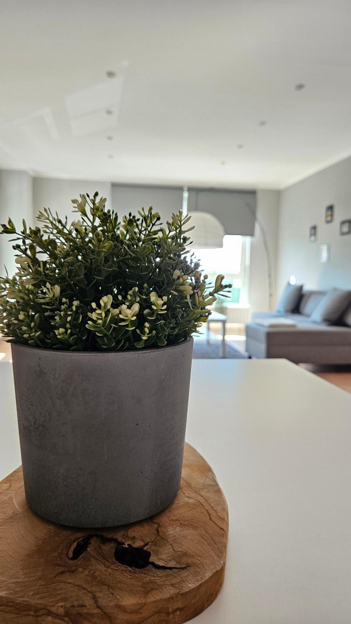 Apartment L19 One Bamberg - Geraeumig In Ruhiger Lage Mit Parkplatz Exterior foto